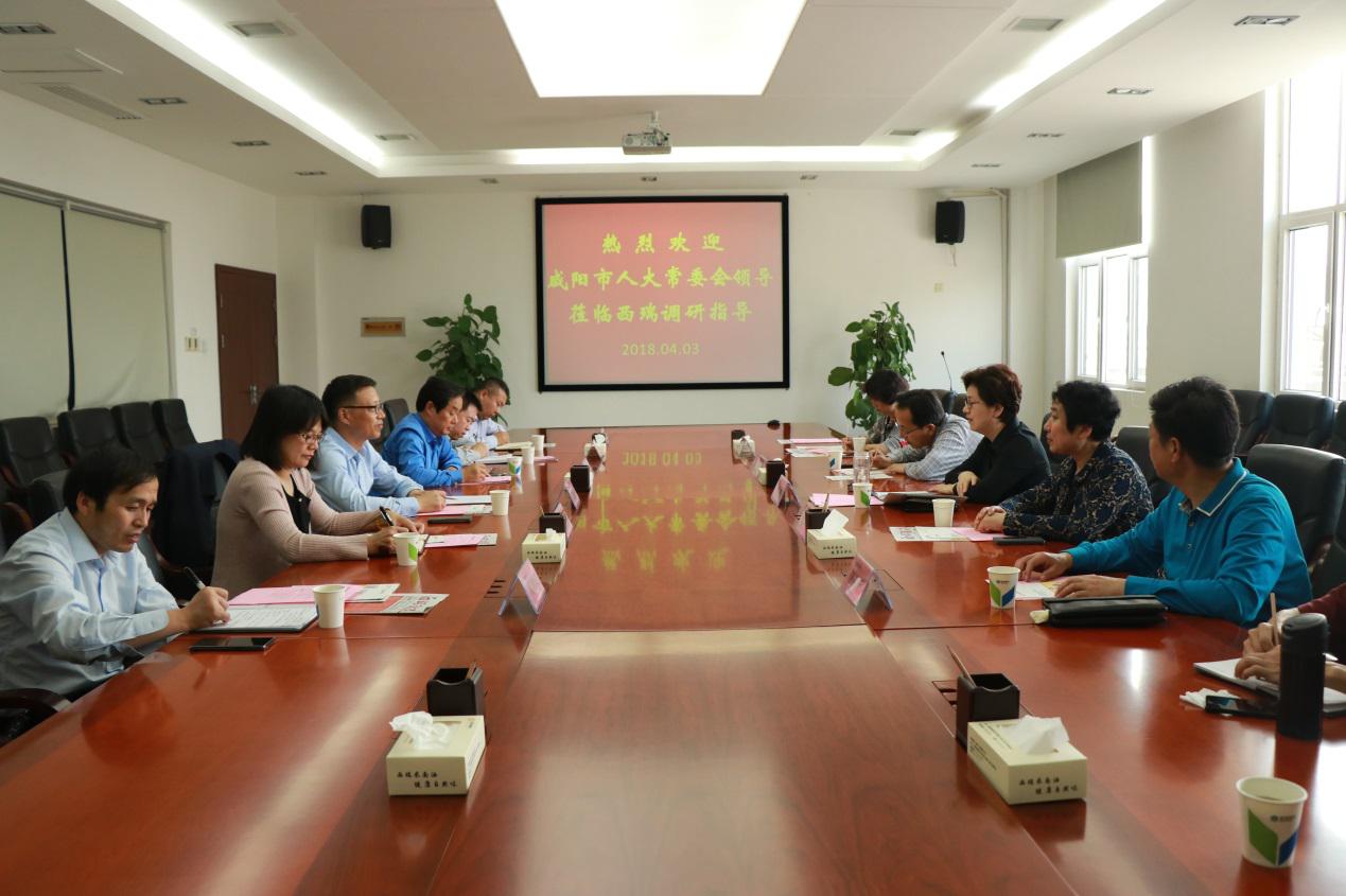 咸陽市人大黨組副書記、副主任肖芳到西瑞集團考察調研