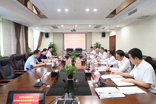 省國資委監(jiān)事會主席李秀平調研結構調整優(yōu)化主業(yè)發(fā)展工作