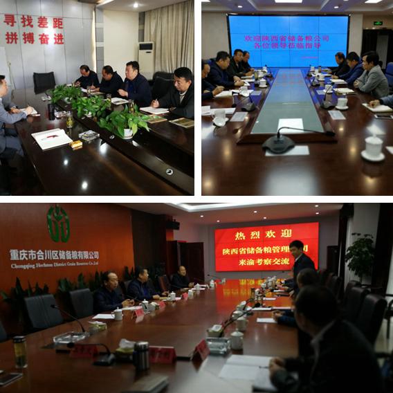 省儲備糧管理公司總經理索王平帶隊赴云貴川渝四地考察調研