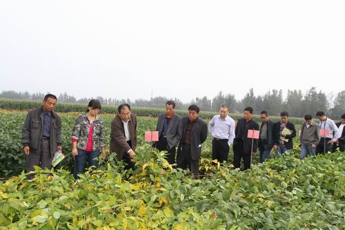陜西農墾大華種業有限責任公司舉辦大豆新品種觀摩及技術培訓會