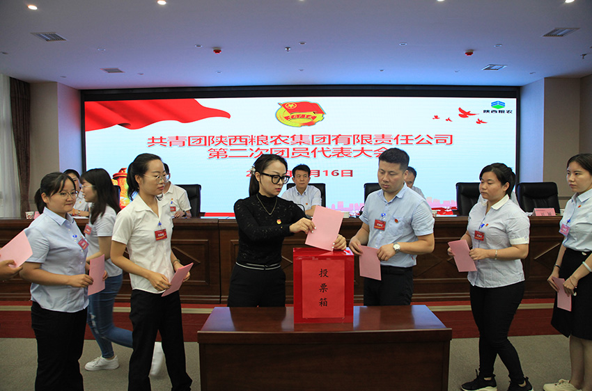 共青團陜西糧農集團有限責任公司第二次代表大會勝利召開