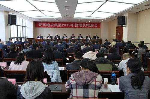 陜西糧農集團召開2019年穩增長推進會