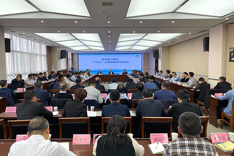 奮戰“十四五” 開啟新征程 糧農集團召開“十四五”發展戰略規劃宣貫會