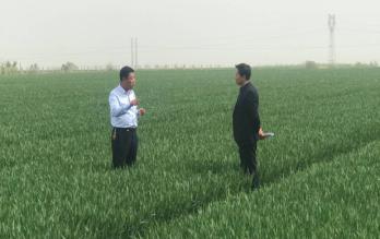 西瑞庫公司實地調研訂單農業種植示范基地