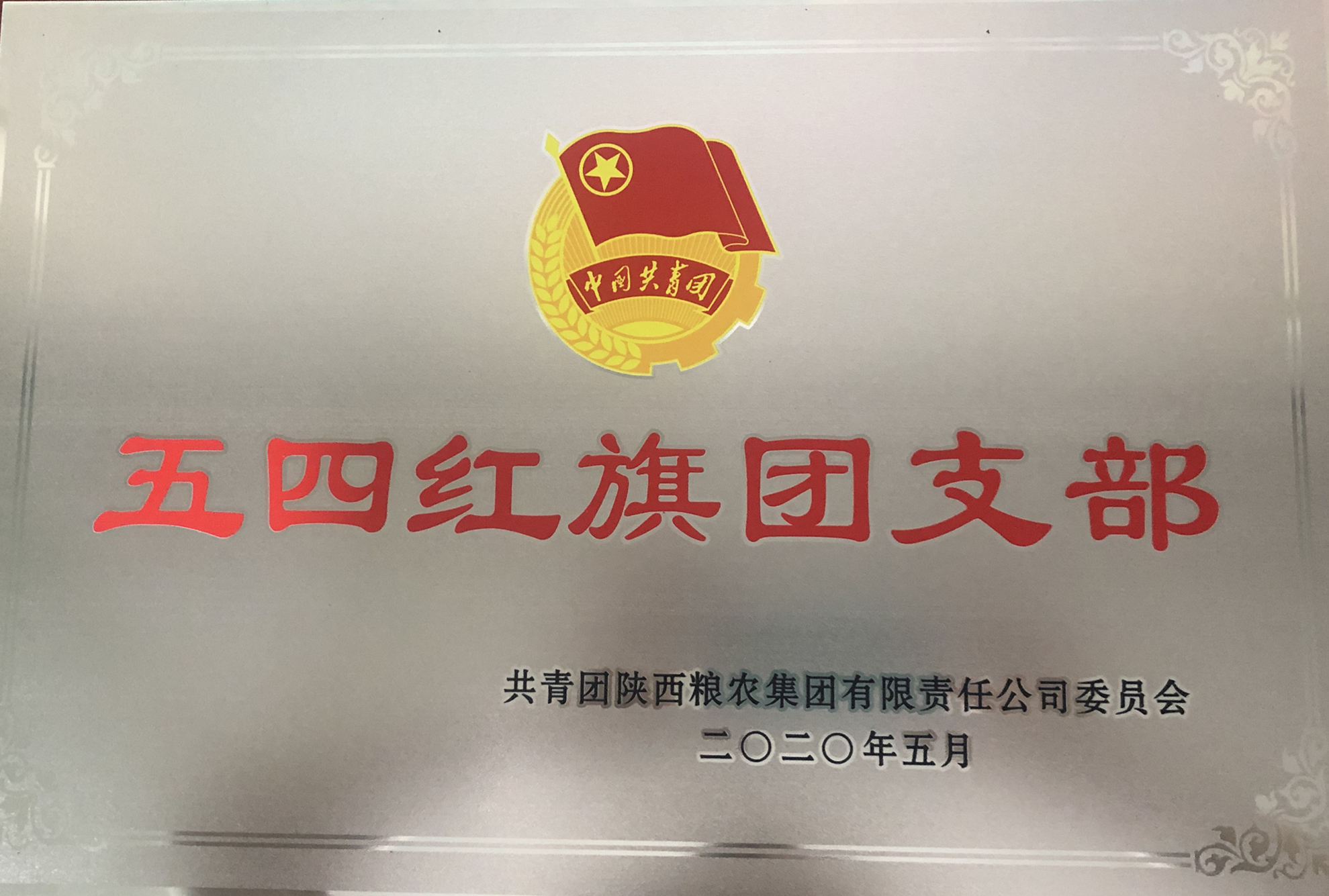 喜報！五四青年節(jié)，油脂集團多位青年喜獲陜西糧農集團榮譽！