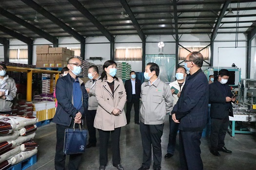 咸陽市人大常委會財經委主任寧雪慧一行蒞臨西瑞集團興平園區調研