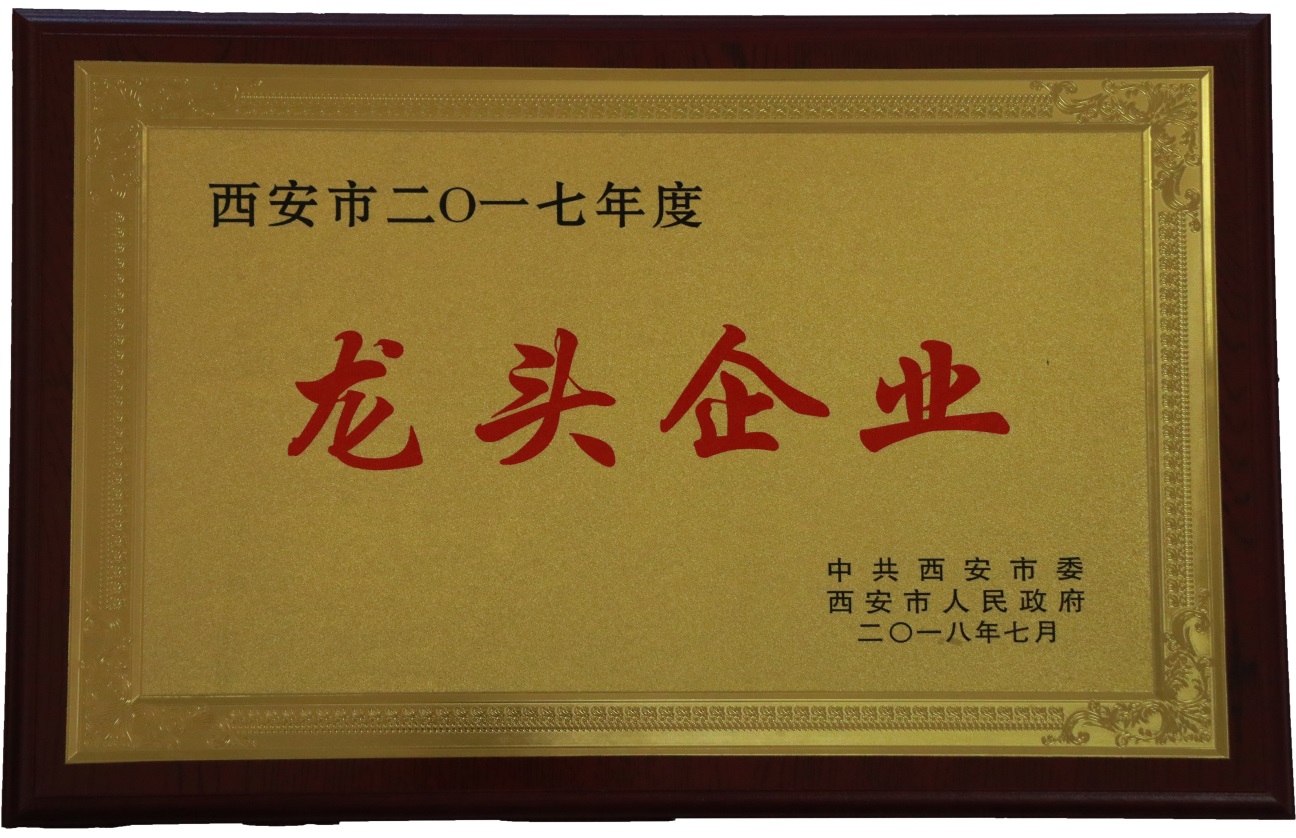 陜西西瑞集團(tuán)榮獲西安市2017年度“龍頭企業(yè)”稱號