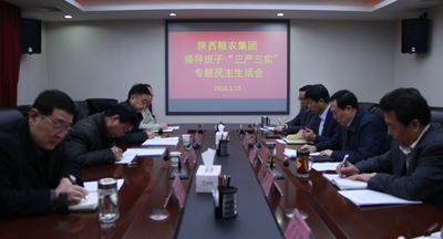 陜西糧農(nóng)集團(tuán)黨委召開“三嚴(yán)三實(shí)”專題民主生活會(huì)