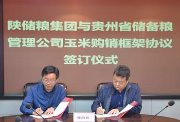 陜儲(chǔ)糧集團(tuán)與貴州省儲(chǔ)備糧管理公司簽訂《玉米購銷框架協(xié)議》