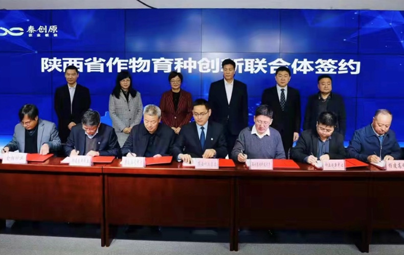種業集團：牽頭組建全省作物育種創新聯合體