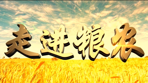 4分鐘，閱讀奮斗崛起中的糧農集團！