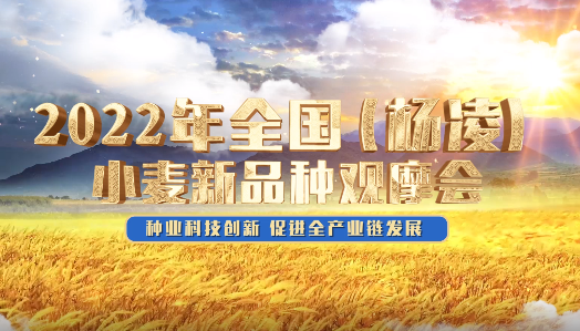 加強科技創新 促進全產業鏈發展