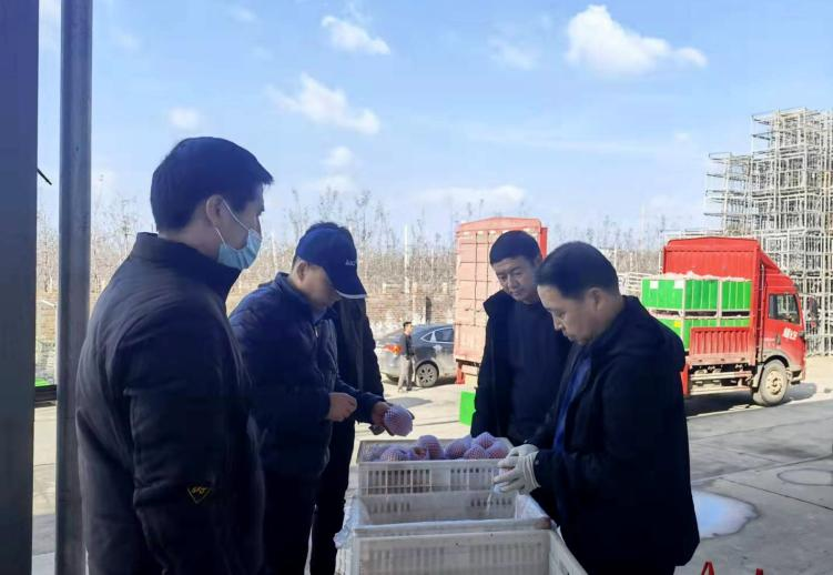 儲備糧管理集團：洛川果業公司首單蘋果期貨交割業務順利完成