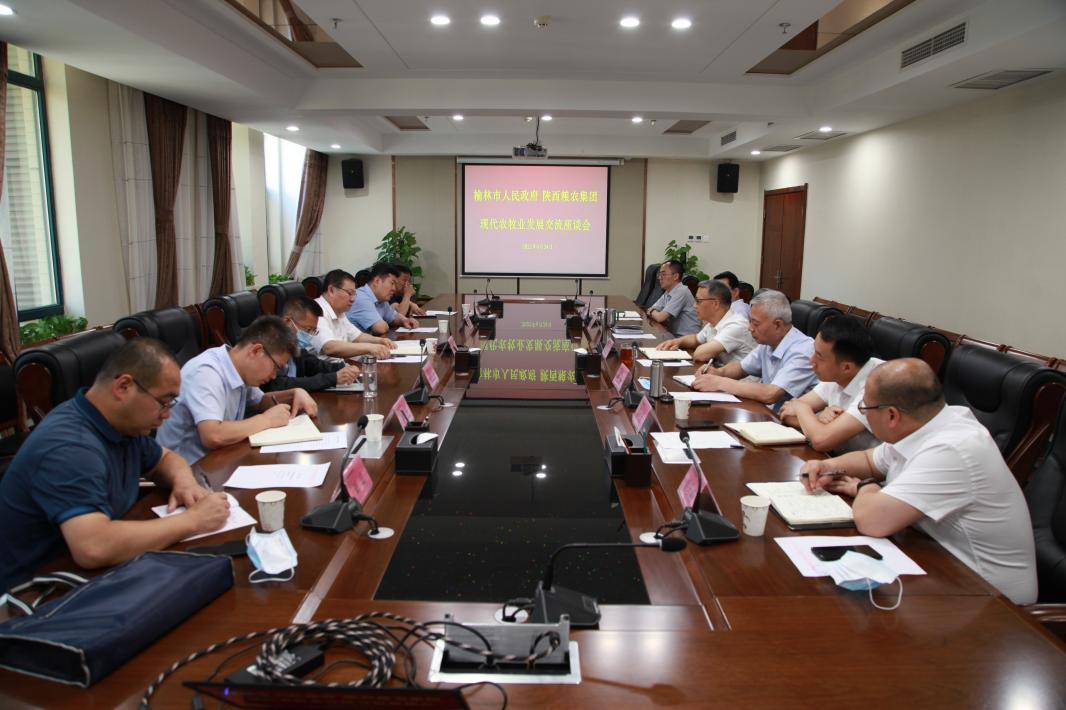 榆林市副市長沈效功來糧農集團座談交流