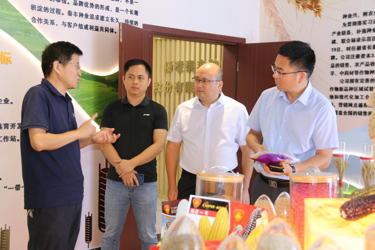 秦豐種業：與騰訊公司共同探索數字種業發展模式
