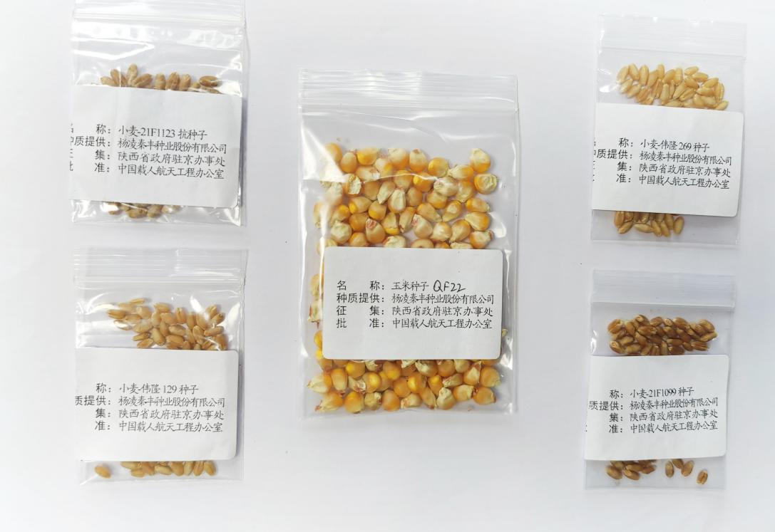 秦豐種業：航天育種材料順利交接